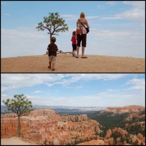 Bryce Canyon from Above