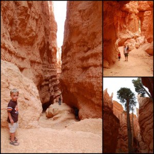 Bryce Canyon from Below