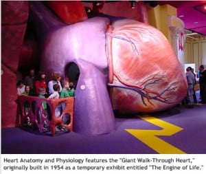 Giant Heart