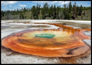 Upper Geyser Basin Hike