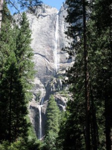 Yosemite-Falls