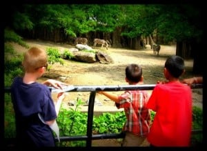 Philadelphia Zoo