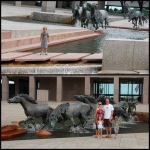 Mustangs1