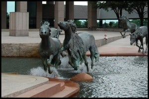 Mustangs2