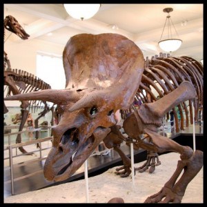 Dinosaurs