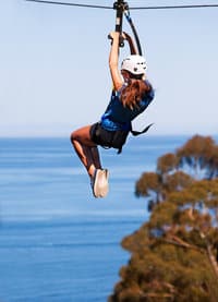 Catalina zip line