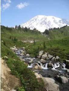 Mt Rainer