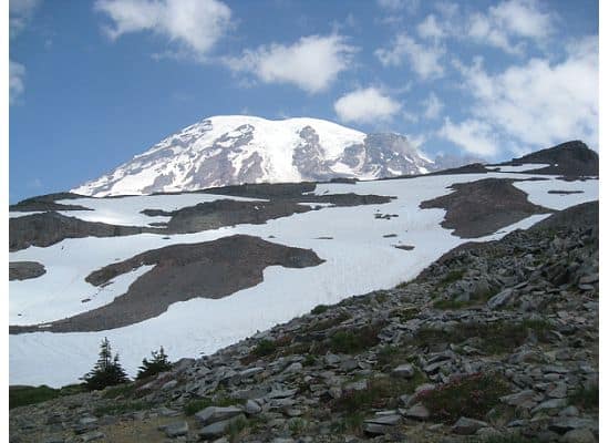 rainier1