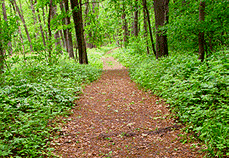 washington park