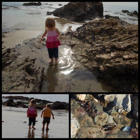 Crystal Cove