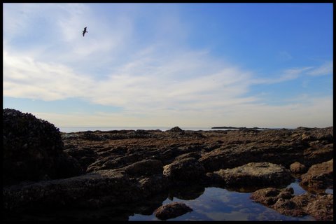 Crystal Cove