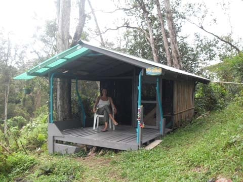 Hedonisia