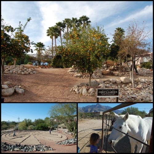 Westward Look Resort