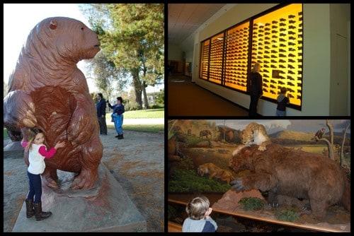 Page Museum