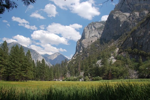 Zumwalt Meadow