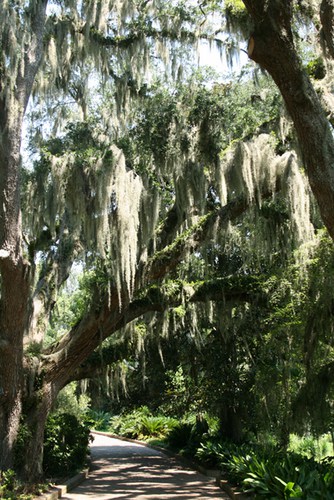 maclay gardens
