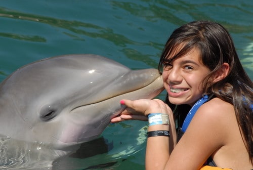 Dolphin Discovery