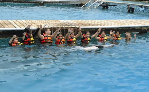 Dolphin Discovery