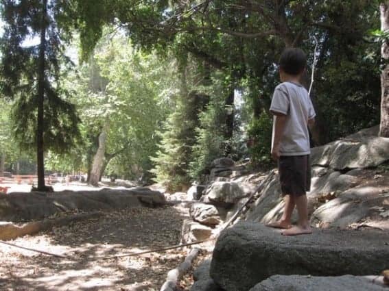 Ferndell-dry-creek-bed