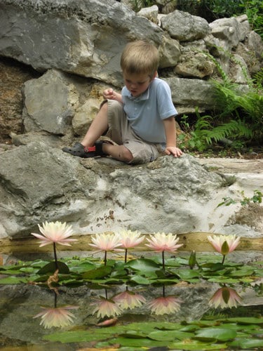 Zilker Park botanical gardens