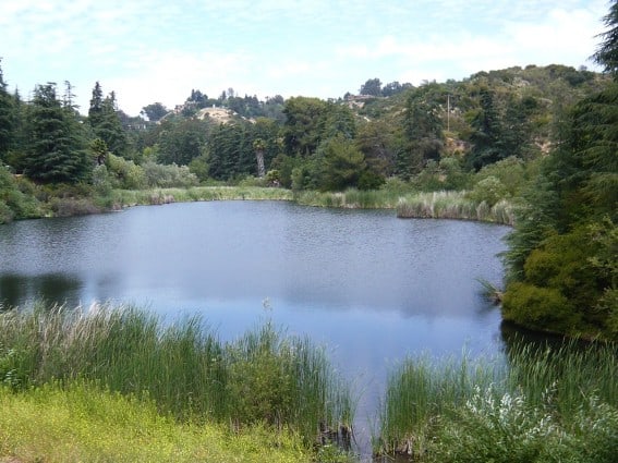 P1160438