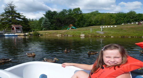 feedducksIndian head