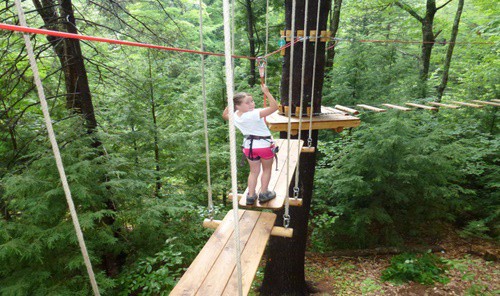 gunstock