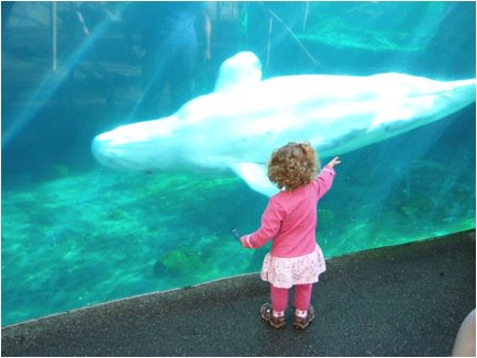 Mystic Aquarium 1
