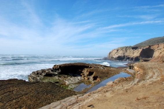 DSC_0862-2