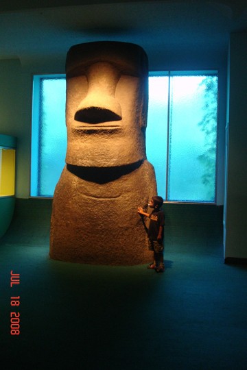 museumofnaturalhistoryusernewyorksandy