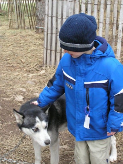 Such friendly dogs!