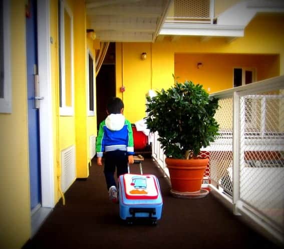 wheelie bag 2