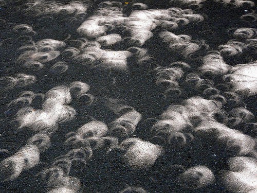 eclipse crescents in shade